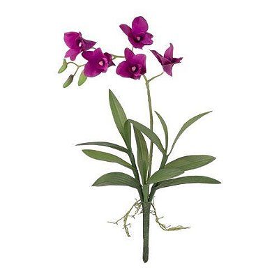 H. ORQUIDEA DENPHAL TOQUE REAL PREMIUM 48CM