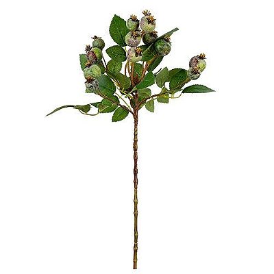 HASTE ARACA FRUTINHA VERDE 56CM