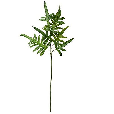 HASTE PHLEBODIUM TOQUE REAL 1.10M