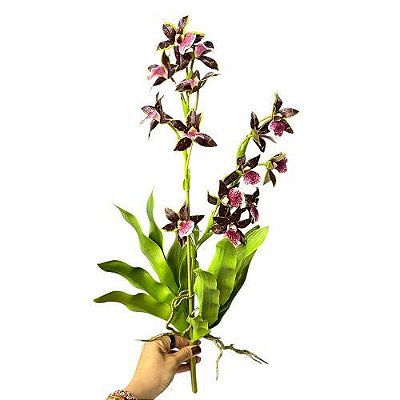 ORQUIDEA DENDROBIUM MAGENTA 56CM PREMIUM