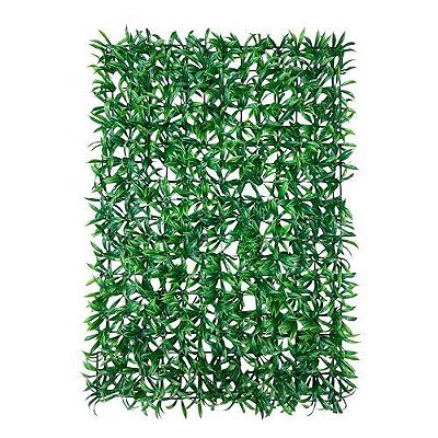 PLACA DE GRAMA SAMABAIA SIMPLES 40X60CM