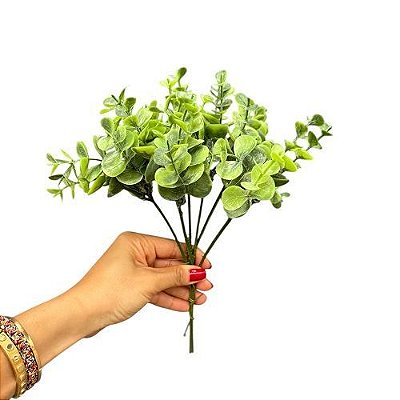 PICK DE EUCALIPTO  C/6 25CM