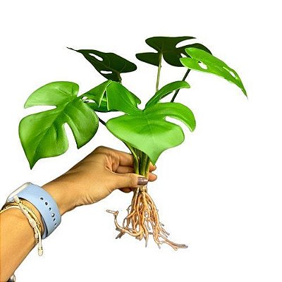 BUQUE DE COSTELA DE ADAO X6 38CM