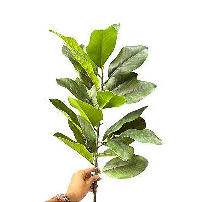 FOLHA DE MAGNOLIA TOQUE REAL 1M