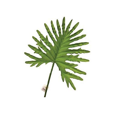 FOLHA FILODENDRO 70CM