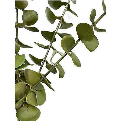 HASTE EUCALIPTO TOQUE REAL PREMIUM 57CM