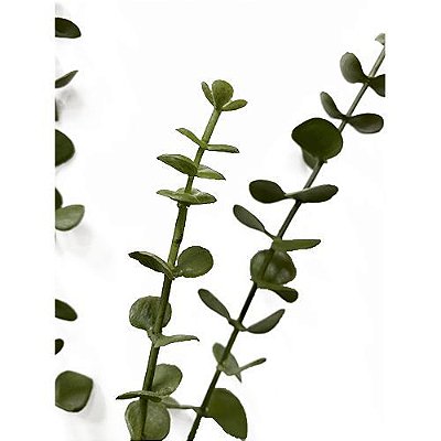 HASTE EUCALIPTO TOQUE REAL PREMIUM 57CM