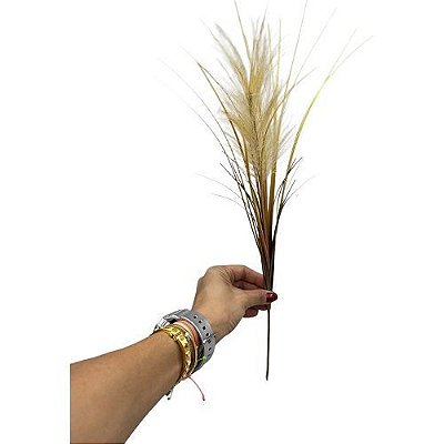 MINI CAPIM PAMPA 45CM