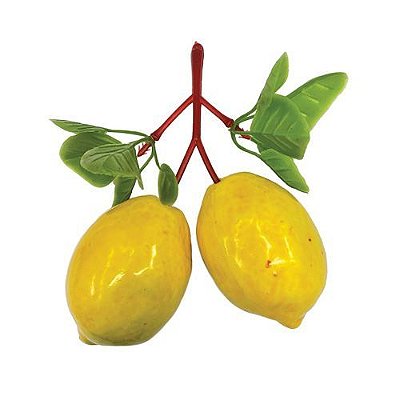 CACHO DE MINI LIMAO SICILIANO