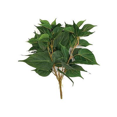 BUQUE DE FOLHAGEM JIBOIA PREMIUM 43CM