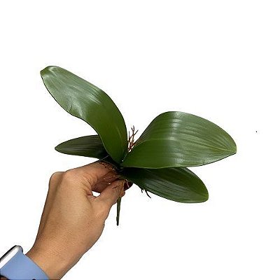 FOLHA DE ORQUIDEA 20CM