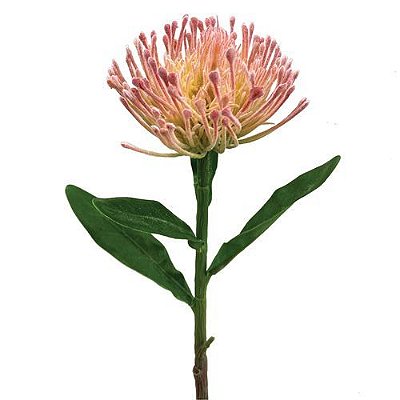 HASTE MINI PROTEIA NIX 41CM