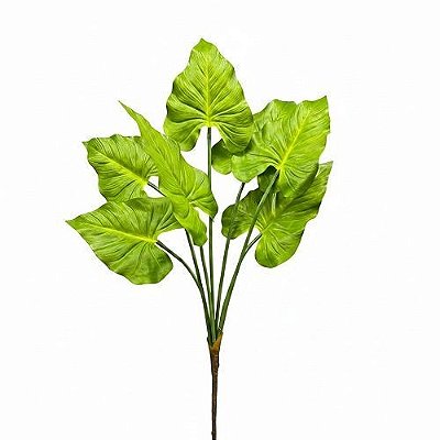 FILODENDRO 70CM VERDE