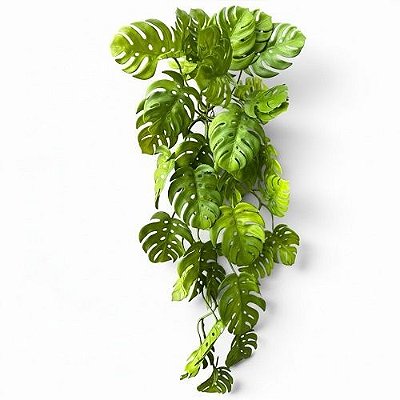 COSTELA DE ADAO DE SILICONE 70CM VERDE