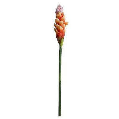 HASTE ALPINO TROPICAL LARANJA TOQUE REAL LARANJA