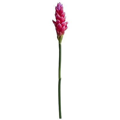 HASTE ALPINO TROPICAL PINK TOQUE REAL ROSA