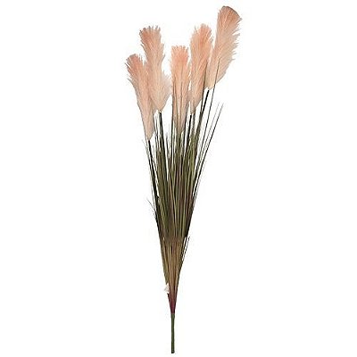 HASTE CAPIM DOS PAMPAS OUTONAL 1.3M