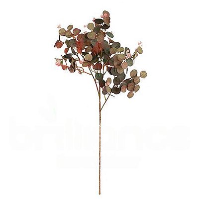 HASTE EUCALIPTO PREMIUM 76CM