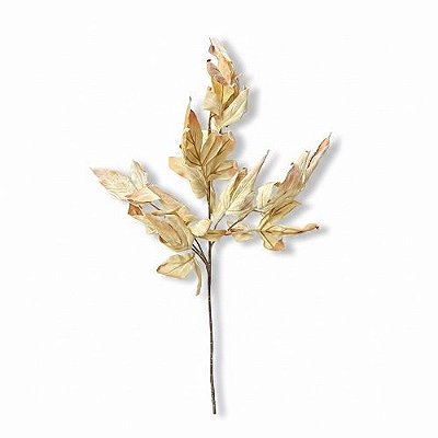 FOLHAGEM TOQUE DESIDRATADO 66CM CREME