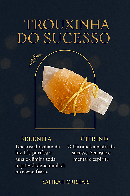 Trouxinha do Sucesso - Pedra de Poder Citrino e Selenita