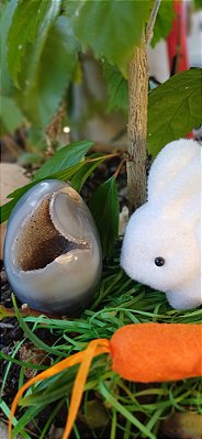 Ovo de Ágata Natural com Cavidade