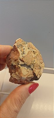 Septariana Pedra Bruta Natural