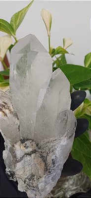 Drusa de Cristal Lemuriano com Lodolita