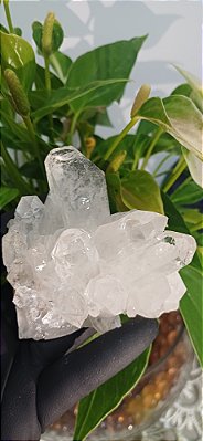 Drusa de Cristal Lemuriano Natural