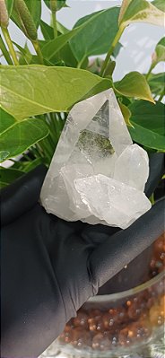 Drusa de Cristal Lemuriano Purificante