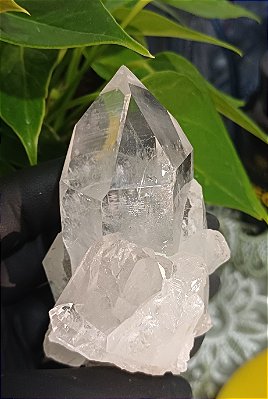 Drusa de Cristal Lemuriano Natural