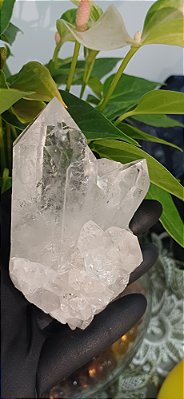 Drusa de Cristal Lemuriano Catedral