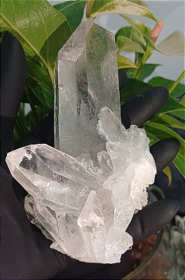 Drusa de Cristal Lemuriano Natural