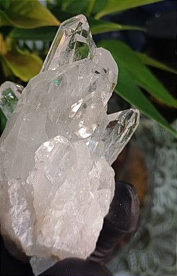 Drusa de Cristal Lemuriano Natural