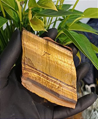 Olho de Tigre Pedra Bruta Natural