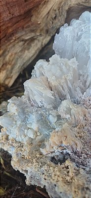 Palheta com Zeólita Natural