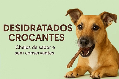 Mini Desidratados