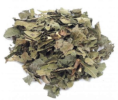 Pata-de-vaca (Bauhinia forficata) – 50g