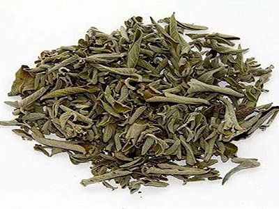 Sálvia (Salvia officinalis) – 50g