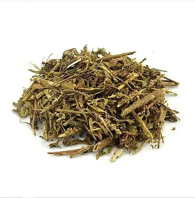 Tanchagem (Plantago major) – 50g