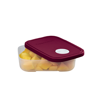 Freezertime Transparente/Marsala - 300ml