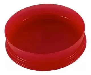 Forma Burguer Express - Marsala