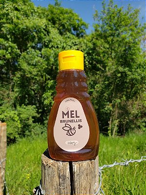 Mel Bisnaga 260g - SILVESTRE