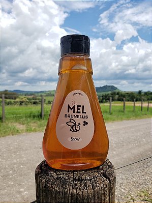 Mel Bisnaga 500g - LARANJEIRA