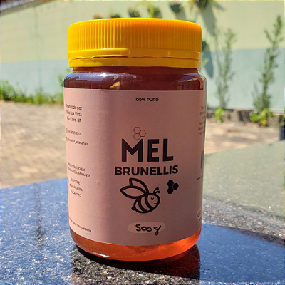 Mel COM FAVO 500g - SILVESTRE