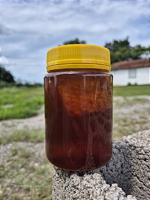 Mel COM FAVO 500g - SILVESTRE