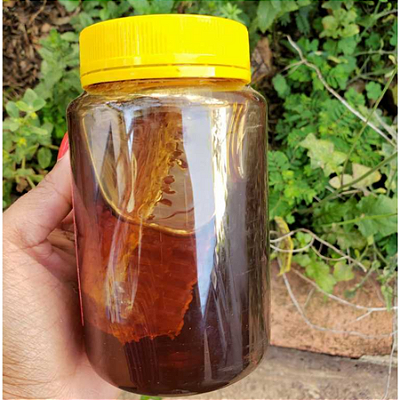 Mel COM FAVO 500g - LARANJEIRA