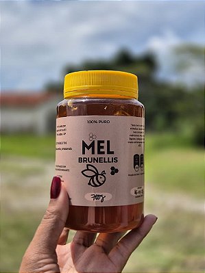 Mel COM FAVO 700g - LARANJEIRA
