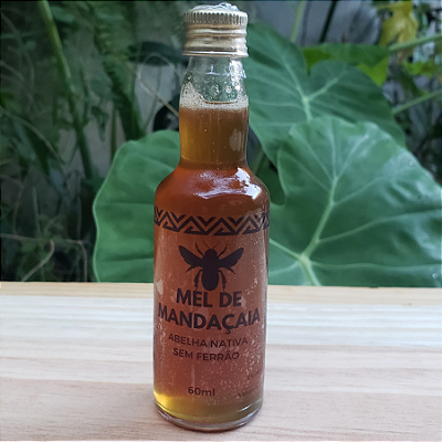 MEL DE MANDAÇAIA - Abelha sem ferrão