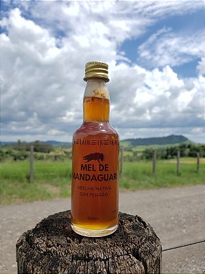 MEL DE MANDAGUARI - Abelha sem ferrão