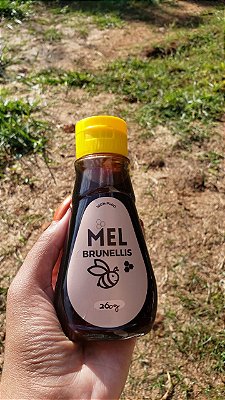 Mel com EXTRATO DE GENGIBRE - 260g